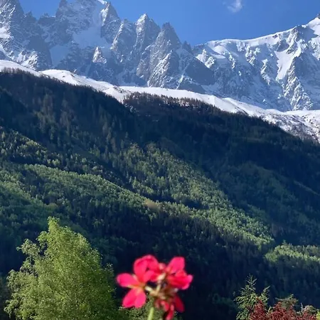 Appartements, Chalet Le Labrador Apartment